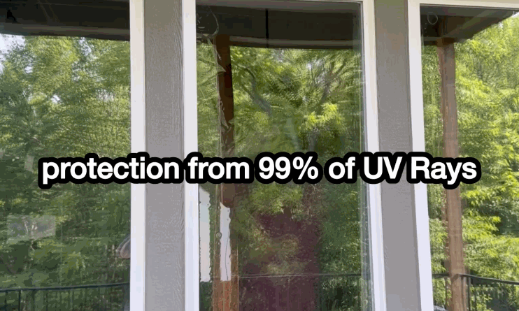 Home window tint providing 99 percent UV protection on residential glass windows with outdoor greenery visible